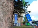 TRU樹木雷達、Picus 3和TreeQinetic樹木拉伸測試儀落戶長春市園林植物保護站