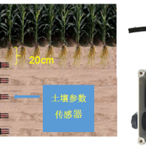DJ-0211土壤多參數(shù)監(jiān)測網(wǎng)絡(luò)